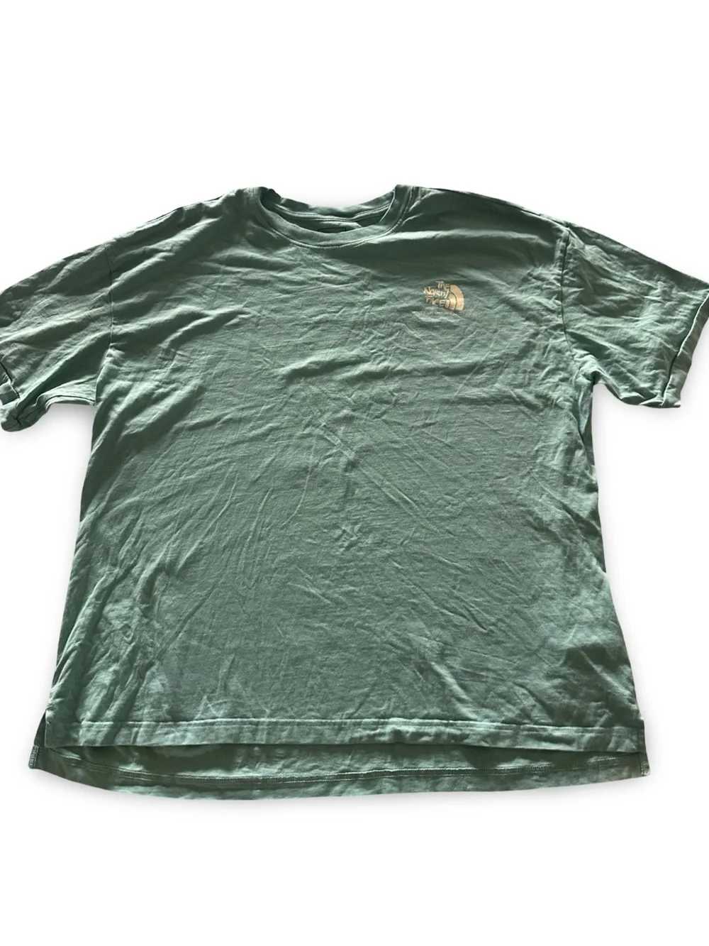 The North Face Men's Light Sage Green Mountain Graphic Short Sleeve Tee Great!